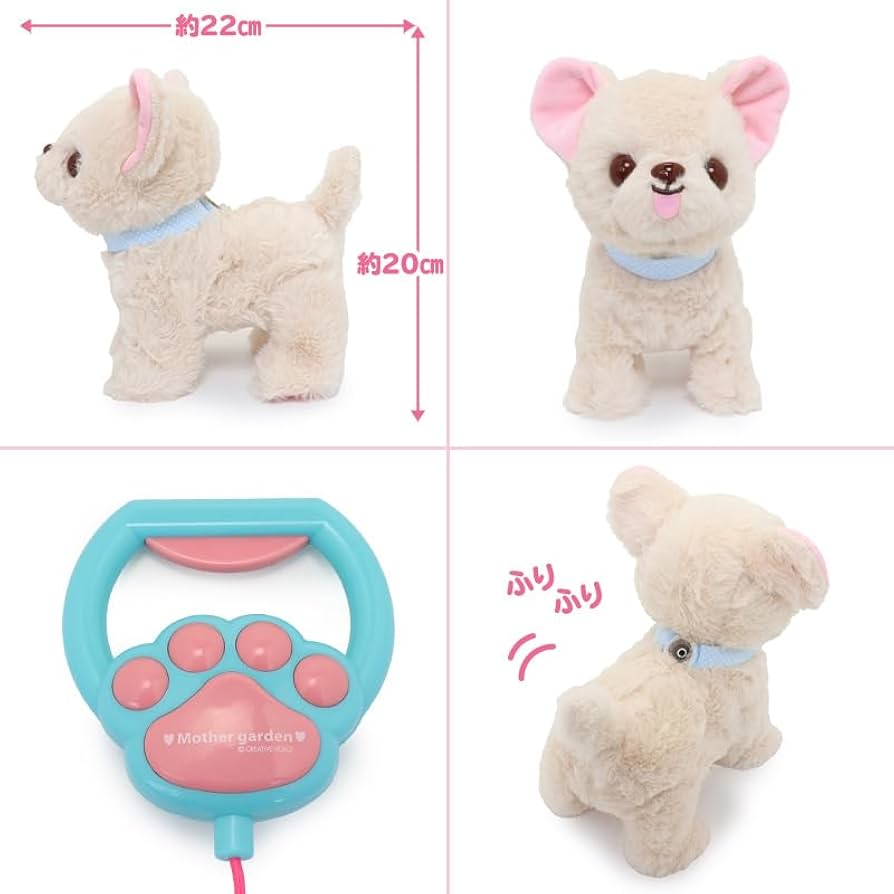 51BTgZOFMkL._AC_UF894,