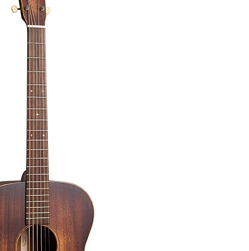 Amazon.com: Martin Guitar 000-15M StreetMaster with Gig Bag