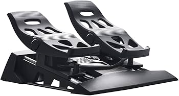 Amazon.com: Thrustmaster TFRP Flight Rudder Pedals – Realistic