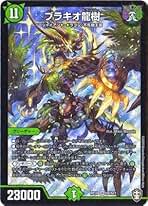 Amazon.co.jp: ブラキオ龍樹