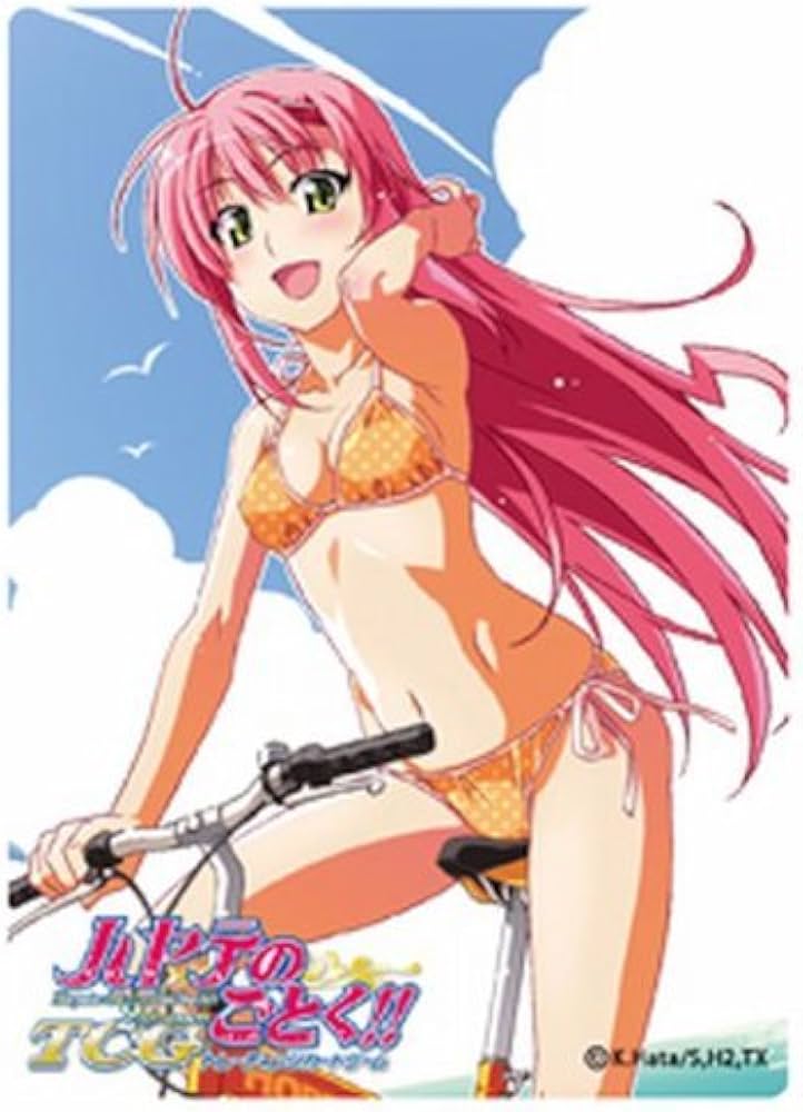 Amazon | ハヤテのごとく!!TCGプロテクター 桂ヒナギク(水着Mk-II