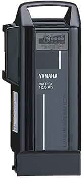Amazon.co.jp: Yamaha X0T-82110-20 Lithium Ion Battery for Yamaha