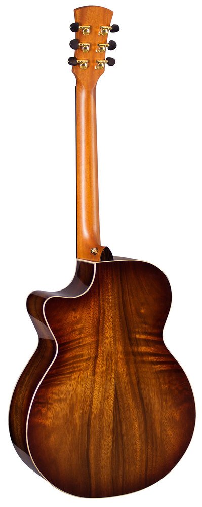 Amazon | Faith Blood Moon シリーズ エレアコ エレアコギター FVBMB