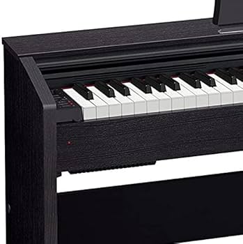 Amazon.com: Casio PX-770 Privia Digital Piano - Black Bundle with