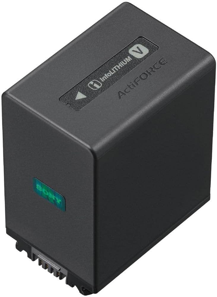 Amazon.com : Sony NPFV100A Rechargeable Battery Pack (Black