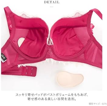 Amazon | ワコール Wacoal サルート Salute 40周年 84G 23SS BTJ484