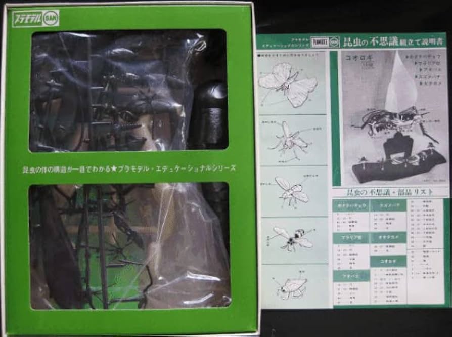 Amazon | マルサン 昆虫の不思議. 透視生体模型. プラモデル | 生物