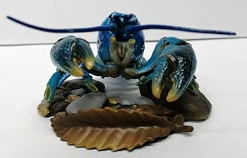 Amazon | ニホンザリガニ 青 週刊 日本の天然記念物 甲殻類 ザリガニ