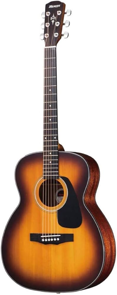 Amazon | MORRIS F-020 TS アコースティックギター | スチール弦