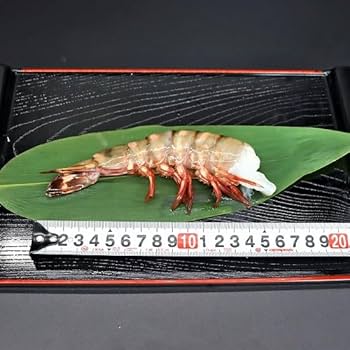 Amazon.co.jp: 超超超特大サイズ 約24尾～32尾入り 6/8サイズ 天然シー