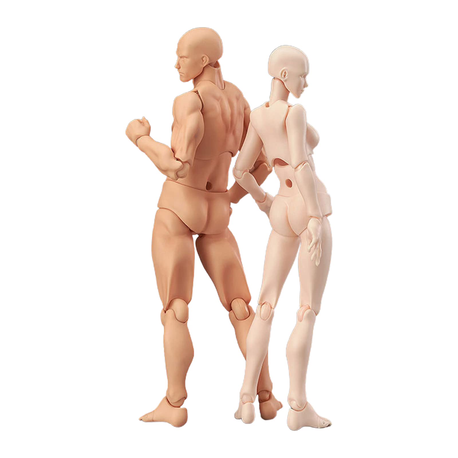 Amazon.co.jp: GIZMAC 1/12 男女2点セット 人形 素体 可動式 全身