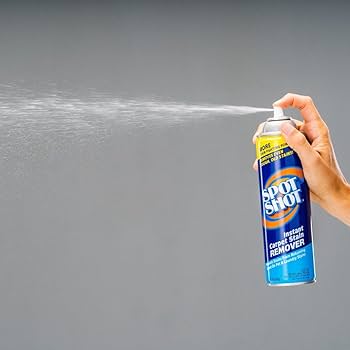 Amazon.com: Spot Shot Instant Carpet Stain Remover, 16 OZ [6-PACK