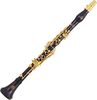 51nHrymhv3L._AC_UF350,