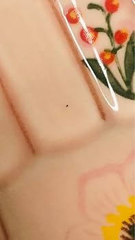 Amazon.co.jp: アンソロポロジー ナタリーレテ コラボ 片手のひら