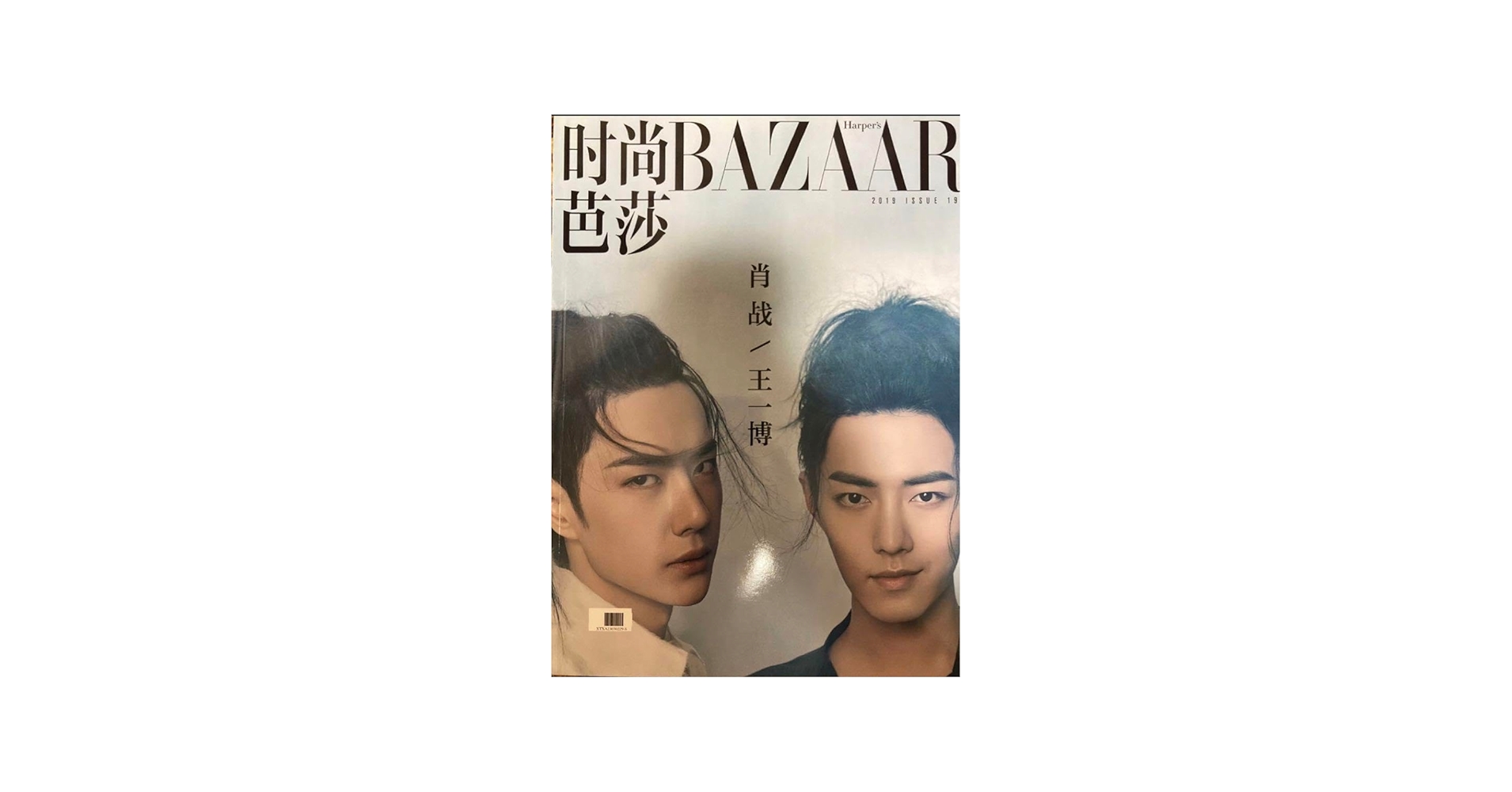 Amazon.co.jp: 陳情令 BAZAAR 肖战 王一博 写真集 : おもちゃ