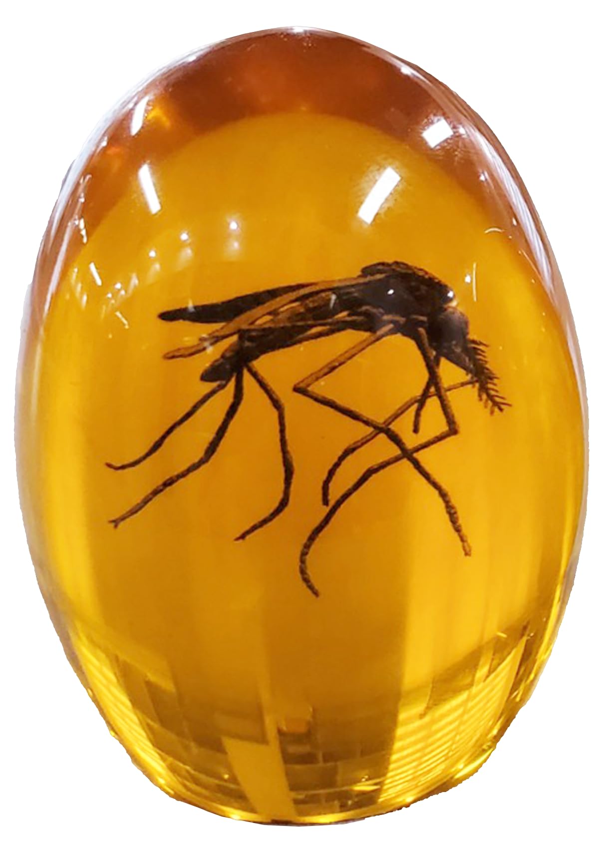 ジェラシックパークの初期作品を思い出す！虫入り琥珀！蚊のような昆虫