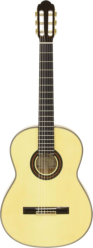 Amazon.co.jp: ARIA アリア フラメンコギター ソフトケース付 A-100F