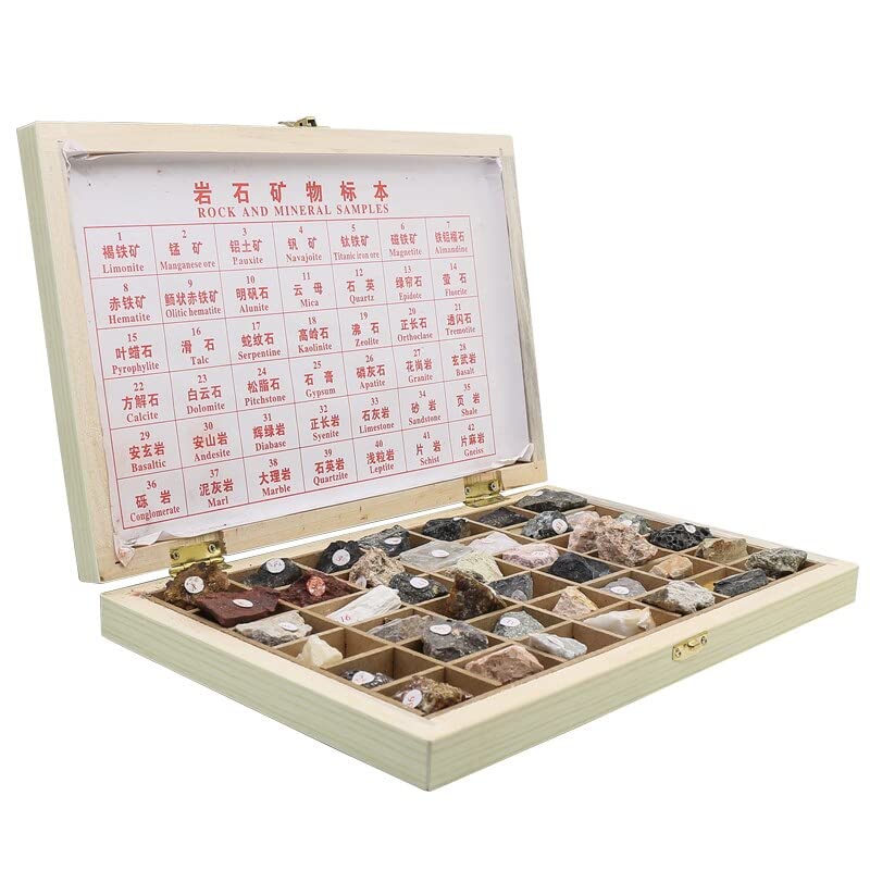 Amazon.co.jp: 実験用顕微鏡スライド 箱の装飾が付いている42部分の