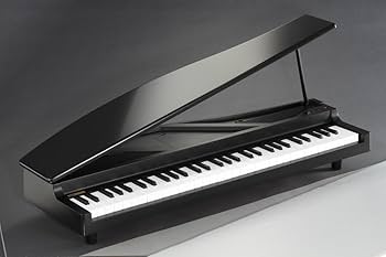 Amazon.com: Korg microPiano 61 - Key Minature Grand Piano, Black