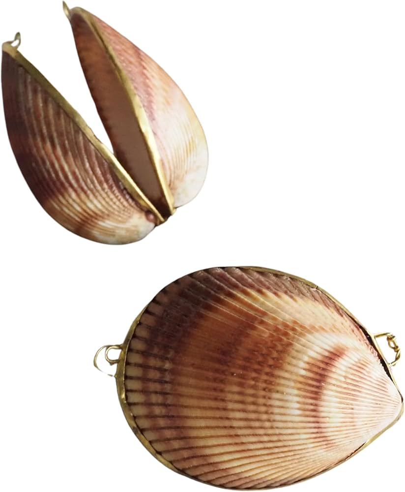 Amazon.co.jp: 【貝殻の問屋さん】貝殻の小物入れ - マドレーヌ - 【約