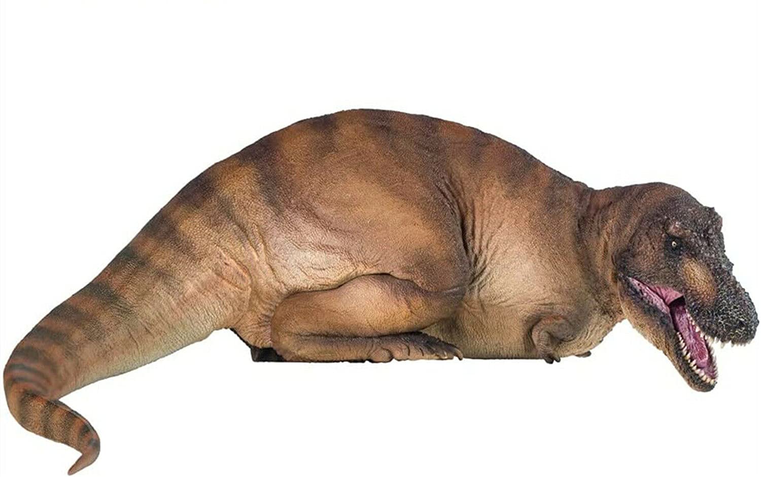 Amazon.co.jp: PNSO 1/35 サイズ ティラノサウルス 恐竜博物館 動物