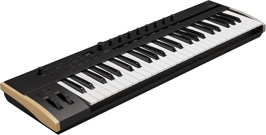 Amazon.com: Korg Keystage 49 MIDI-Controller with Polyphonic