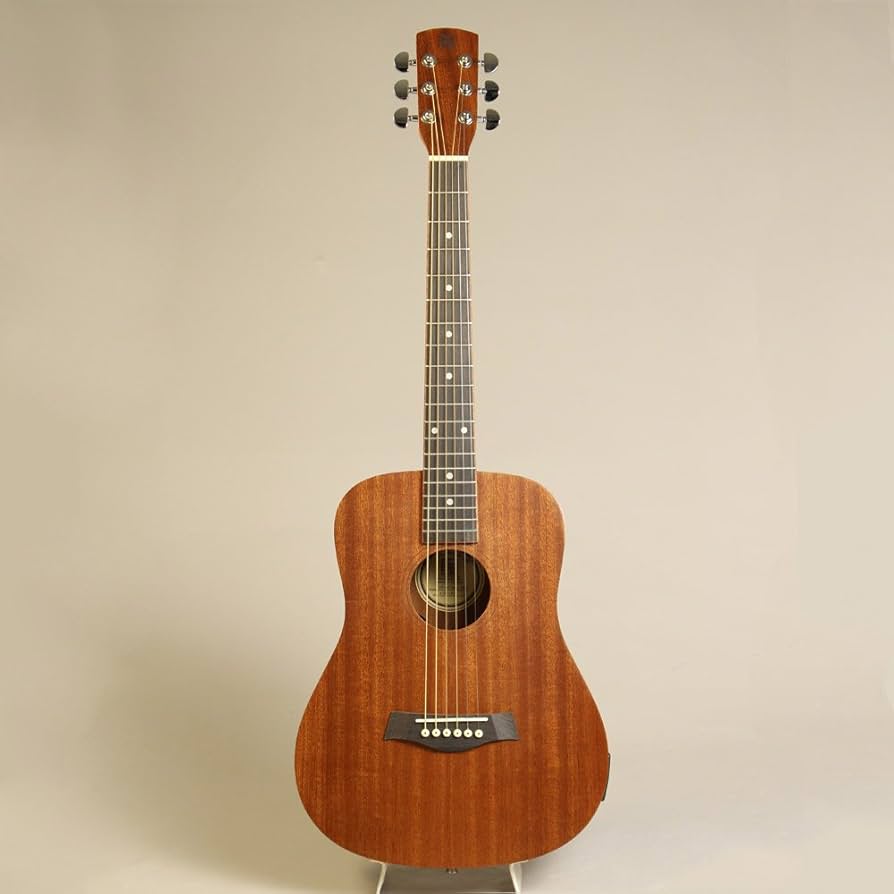 Amazon | 音音 DT1M/e NTM ミニアコースティックギター エレアコ