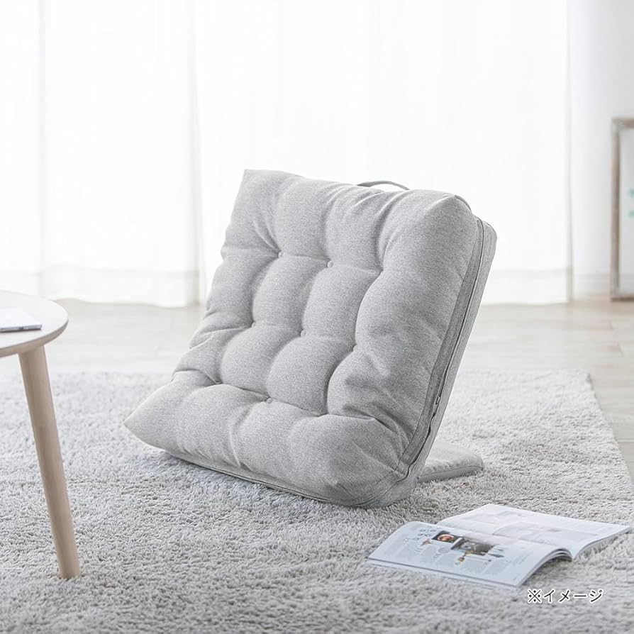 Amazon｜カインズ(CAINZ) 持ち手付カバー洗える背もたれイス FLepoco