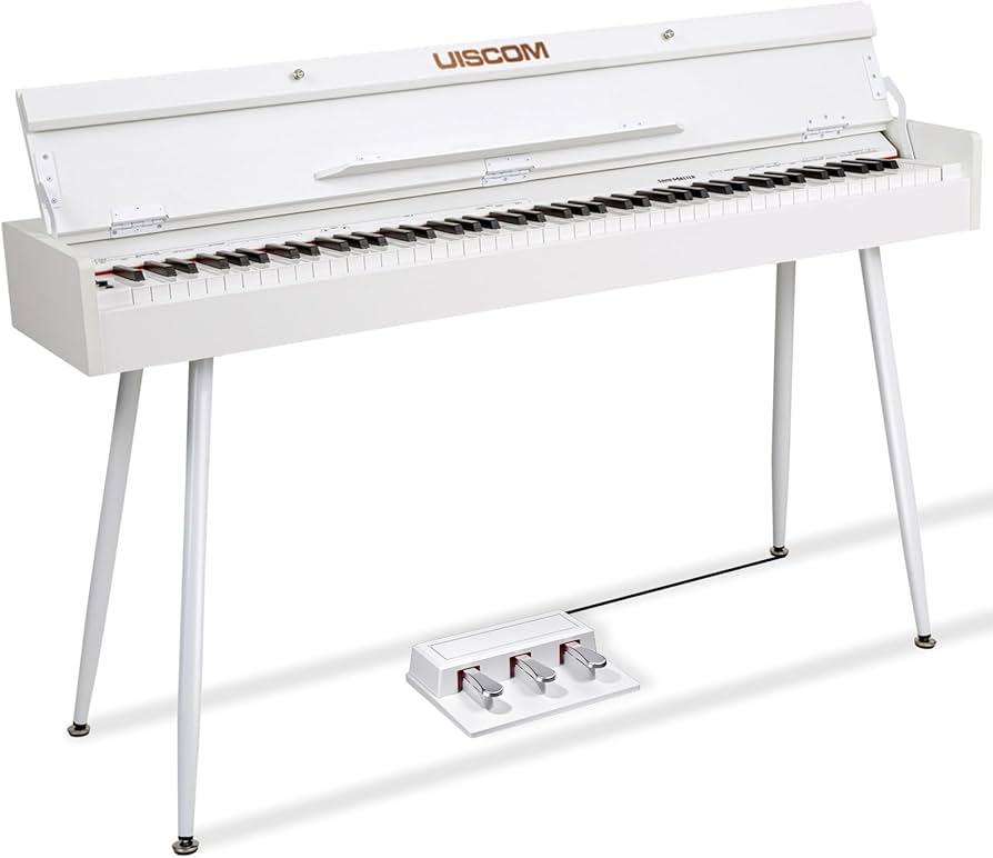Amazon.com: UISCOM 88 Key Weighted Home Digital Piano- Wooden Desk