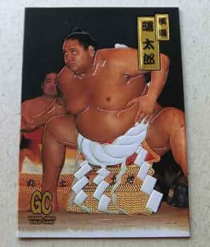 61JbN45OutL._AC_UF350,