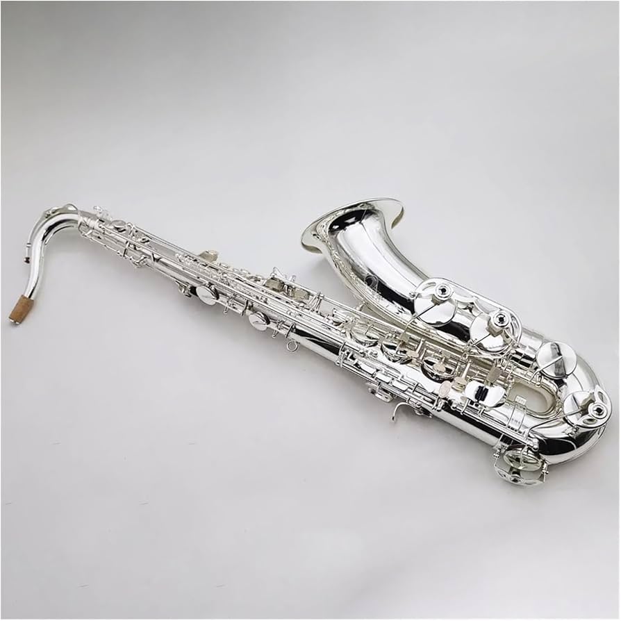 Amazon | シルバープロフェッショナルテナーサックス Bb フレンチ