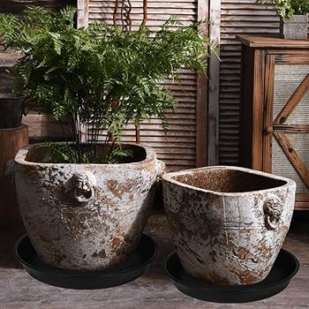 Amazon.com : Bleuhome 4 Pack of 18 19 inch Plant Saucer Drip Tray