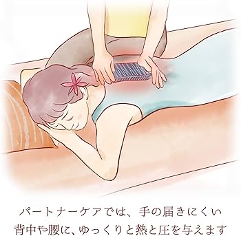 Amazon.co.jp: カミンアンドプライ 桜島 溶岩石 ホットブロック タイ
