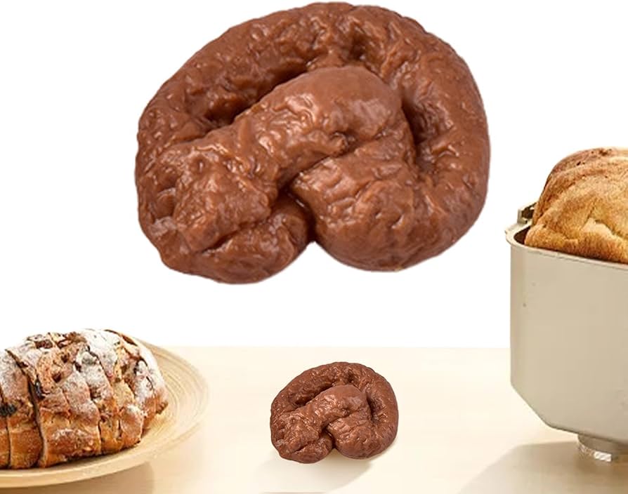 Amazon | 偽うんこ,面白いフィジェットおもちゃフェイクフライセット