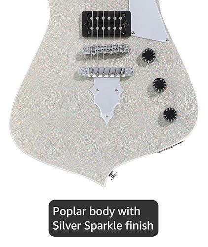 Amazon.com: Ibanez Paul Stanley Signature PS60 - Silver Sparkle