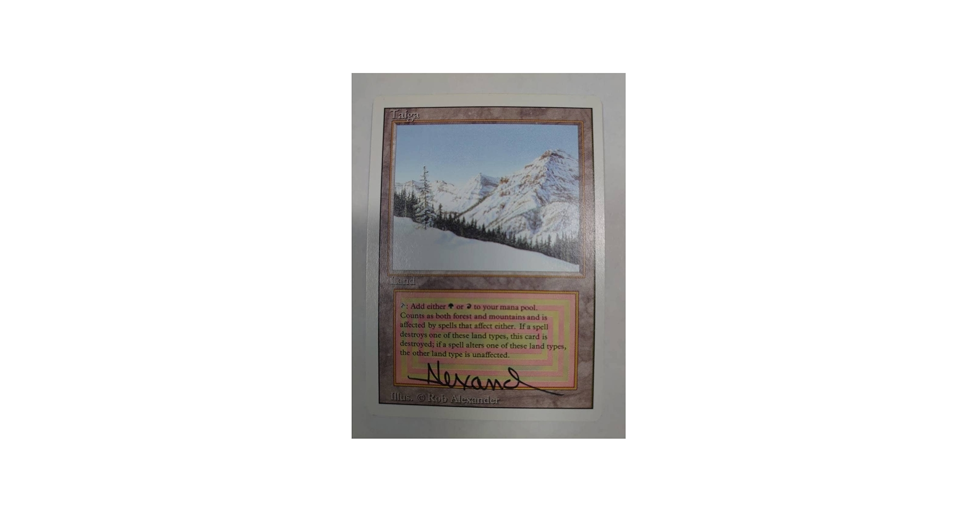 Amazon | MTG Rob Alexanderサイン入りTaiga 英語版 土地 R | 英語