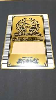 61pN9HEk5ZS._AC_UF350,