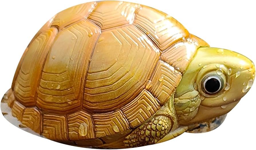 Amazon | BACALYSO | 動物惑星 カメ 亀 ガチャガチャ ブラインド