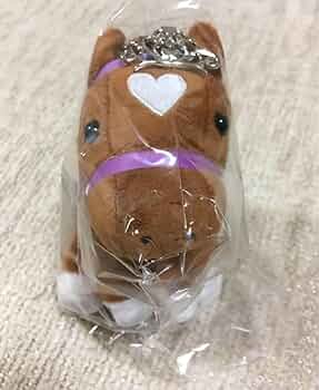 61sa02yI4JL._AC_UF350,