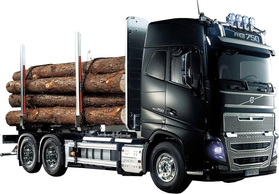 Amazon.co.jp: タミヤ 1/14 電動RCビッグトラックシリーズ No.60