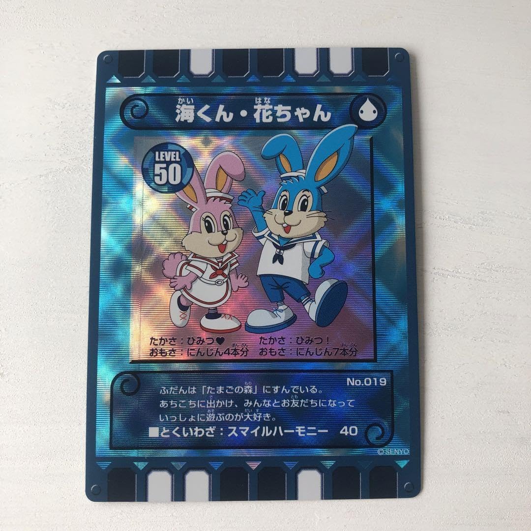 ぐるり森 廃盤激レア ひたち海浜公園 浴衣 海くん 花ちゃん コッキー