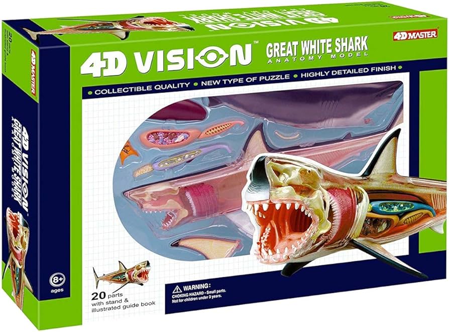 Amazon.co.jp: スカイネット 立体パズル 4D VISION 動物解剖 No.02