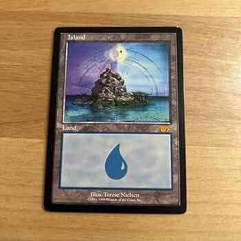 71-LsiFmmVL._AC_UF350,