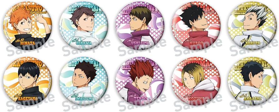 Amazon.co.jp: 【公式】ハイキュー!! カラパレ 振り向き 缶バッジ【BOX