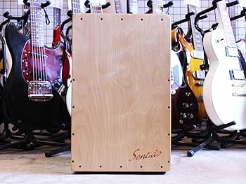 Amazon.co.jp: 【中古】濱崎商会 カホン SENTIDO シリーズ