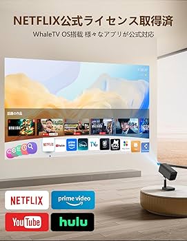 Amazon.co.jp: 【Netflix公式ライセンス＆最新Android TV搭載
