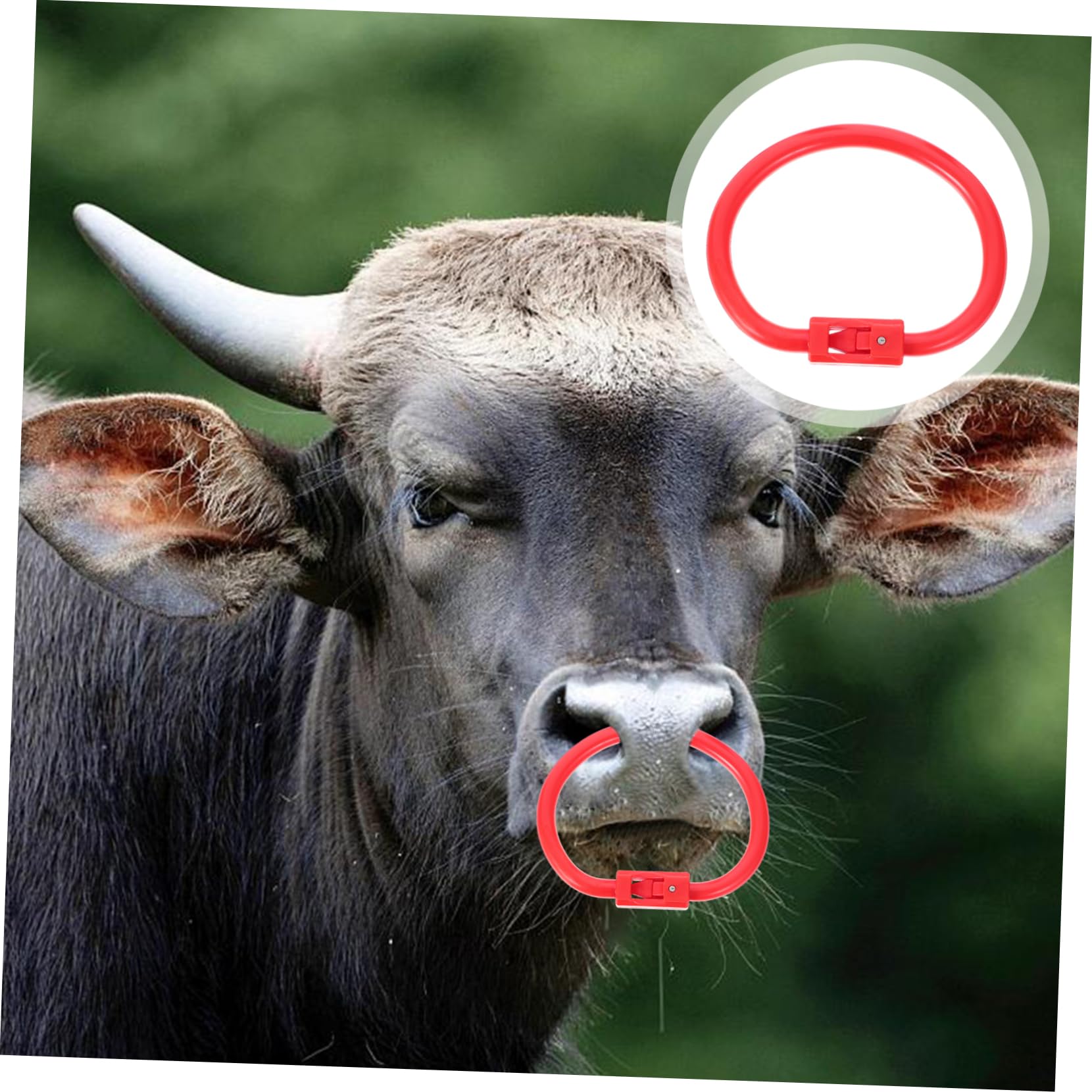 Amazon.co.jp: ROMISBABA ブルノーズリング 闘牛場 タグ 子牛の鼻の