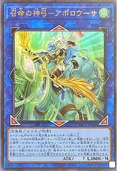 713y5io9cfL._AC_UF350,