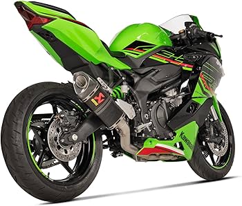 Amazon | AKRAPOVIC(アクラポビッチ) レーシングライン マフラー