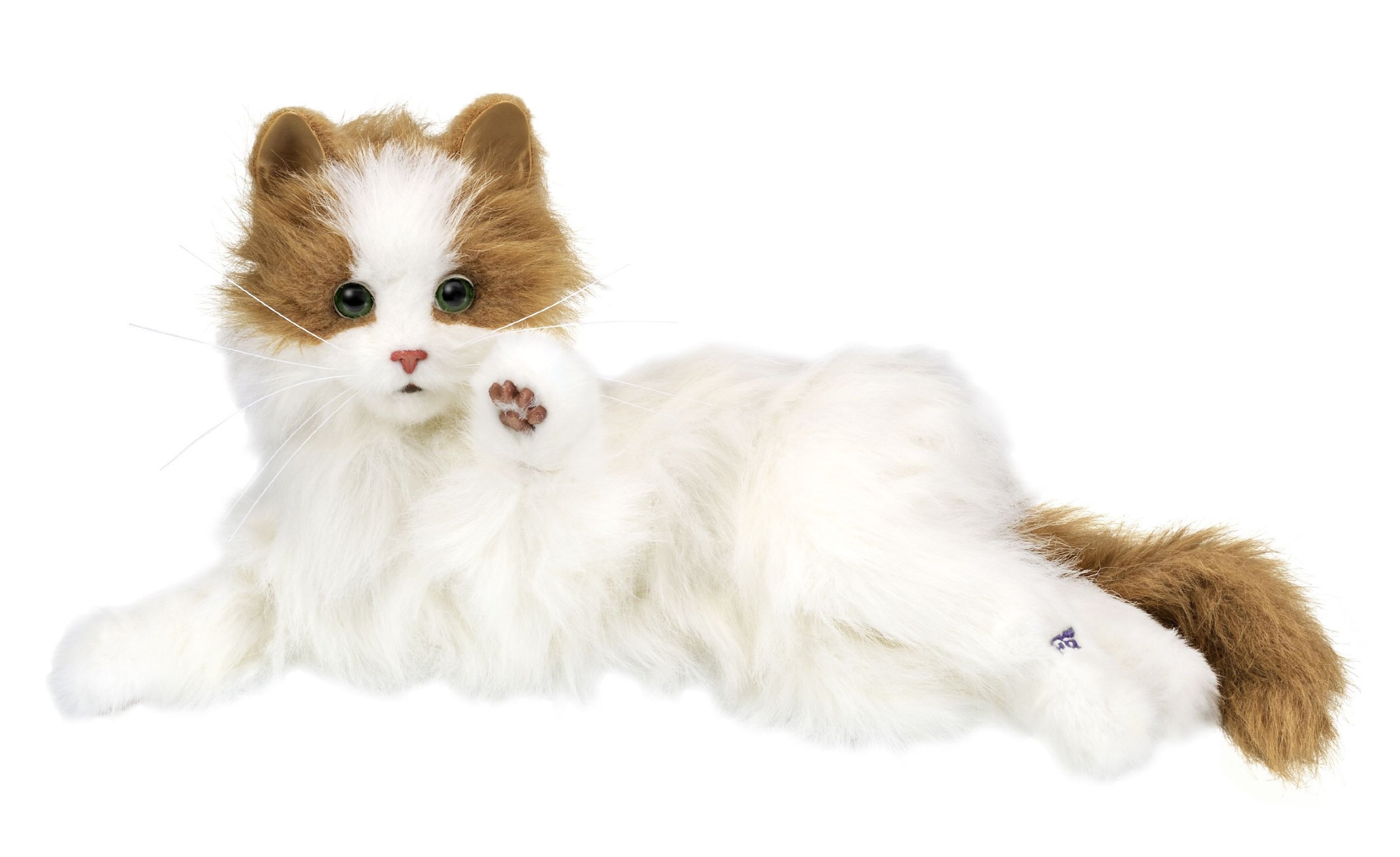 Amazon.co.jp: 夢ねこ ヴィーナス : おもちゃ